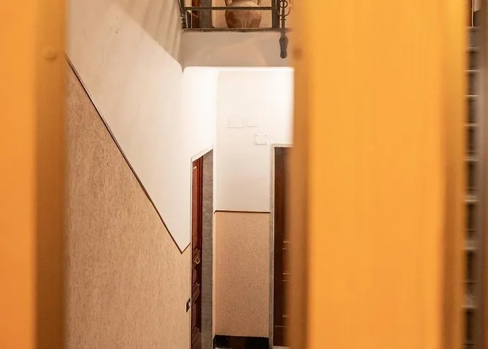 Center Foce-genova *